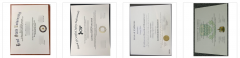What are the best websites to buy fake diploma certificates