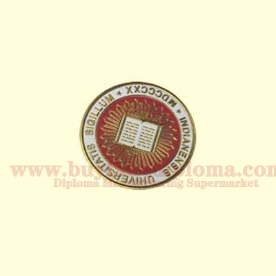 Diploma seal design icon template 1