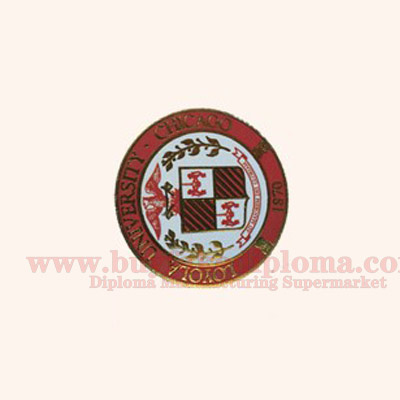 Diploma seal design icon template