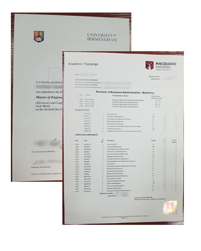 2006 University of Birmingham Diploma and Transcript