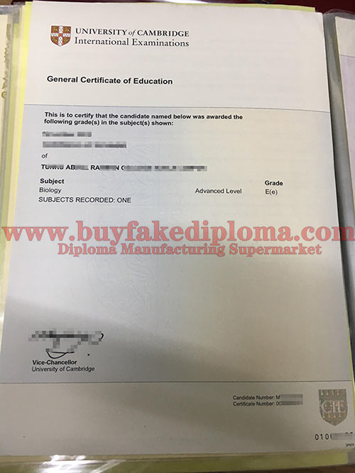IGCIE FAKE certificate sample