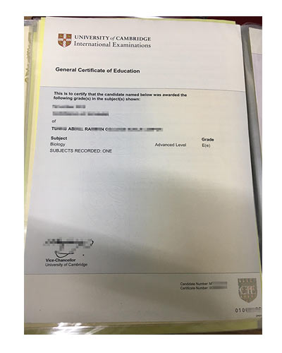 IGCIE fake certificate sample|buy IGCIE certificate
