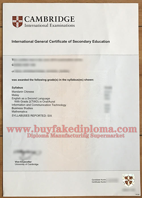 IGCSE fake Certificate Sample