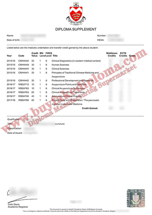 Middlesex University Fake Transcript Sample