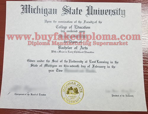 Michigan State University fake degree sample
