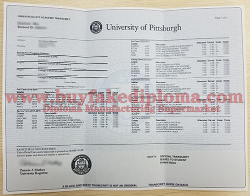 University of Pittsburgh fake Transcript