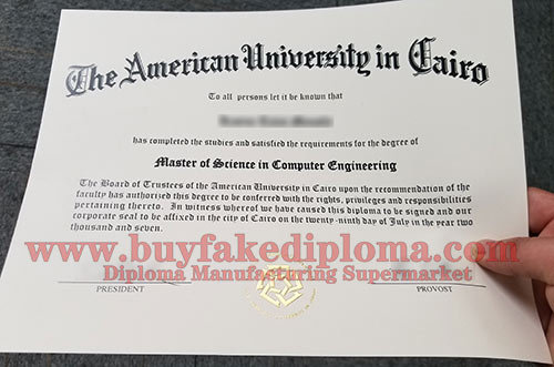 AUC Fake diploma degree certificate