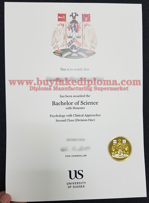 University Of Sussex Diploma degree certificate