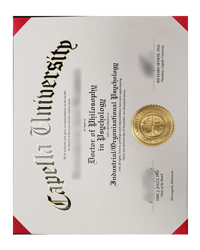 University of Capella Psychological profession diploma