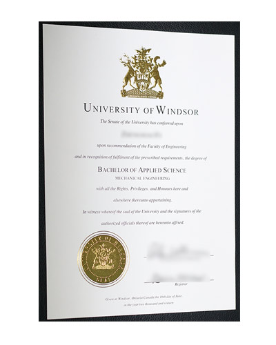 Fake University Of Windsor Certificate|How To Buy U