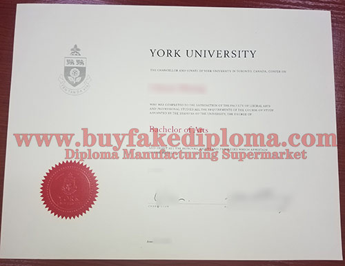 York University diploma degree