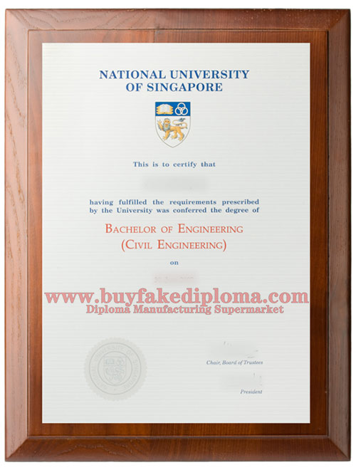 NUS  degree certificate