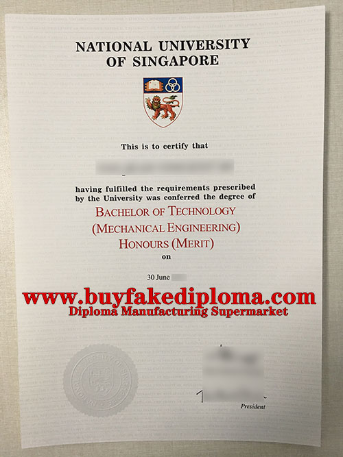 NUS diploma certificate