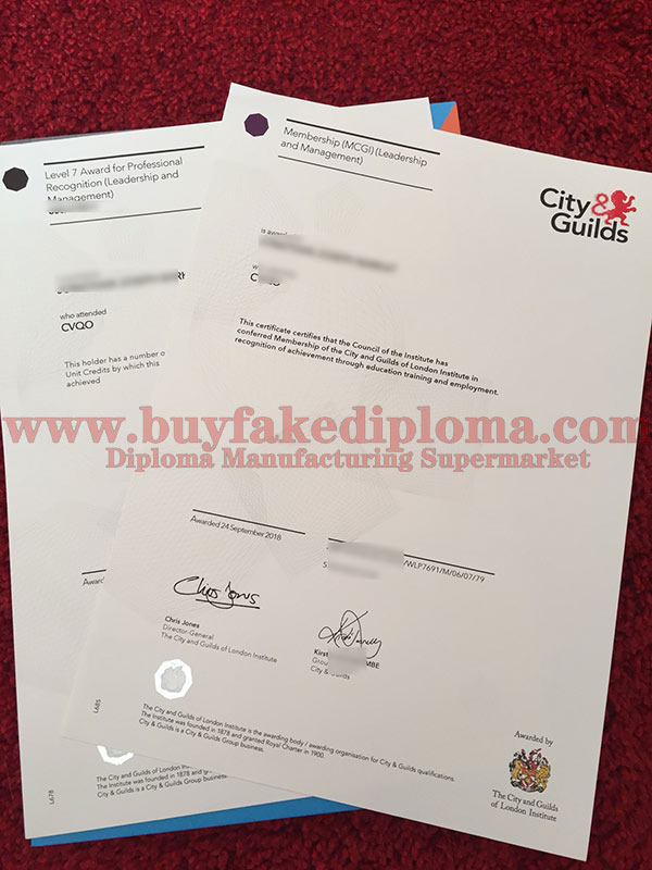 City Guilds certificate Sample