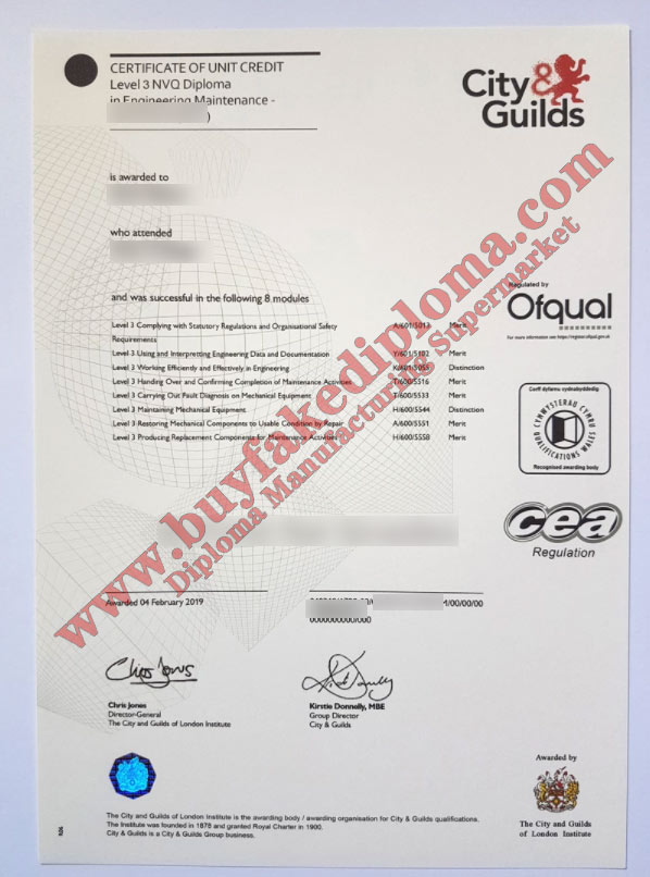 city Guilds certificate sample