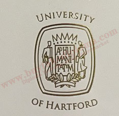 University of Hartford degree certificate