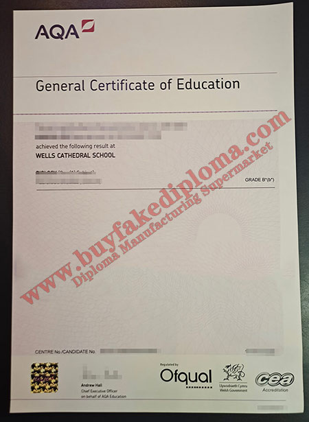 GCSE fake certificate