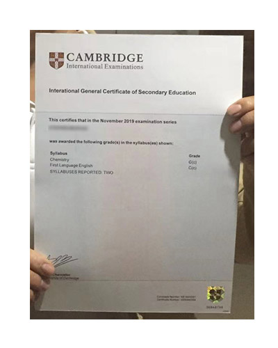 Where Can Buy Cambridge IGCSE Fake certificate