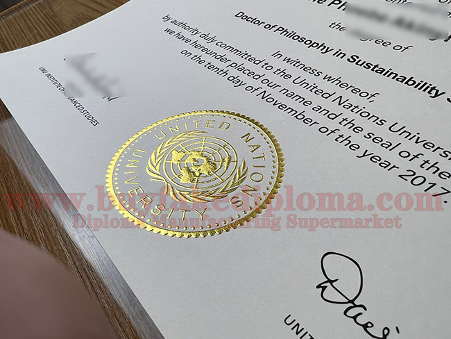 UNU fake Diploma Sample