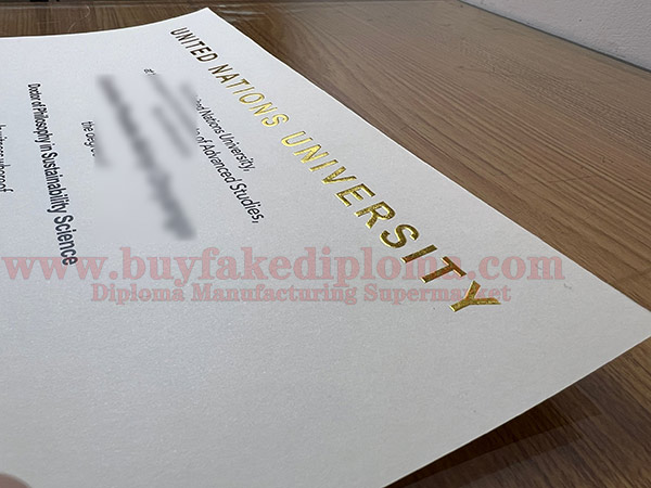 UNU fake Diploma Sample