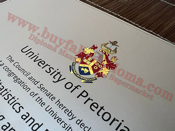 fake University of Pretoria certificates