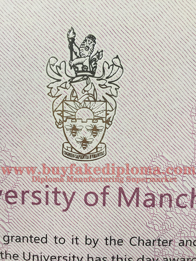 University of Manchester degrees