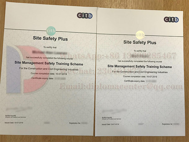 CIBT fake certificates