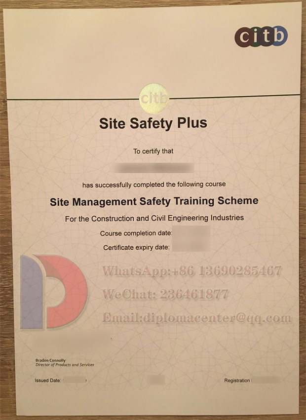 CIBT fake certificates