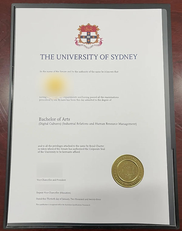 Sample Bachelor of Professional Arts from the University of Sydney