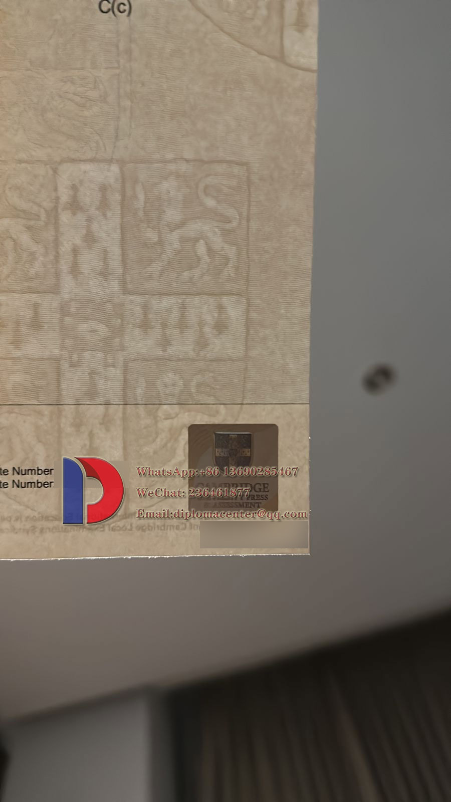 Fake IGCSE Certificate Sample
