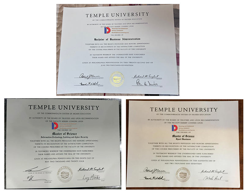 Temple University degree Sample