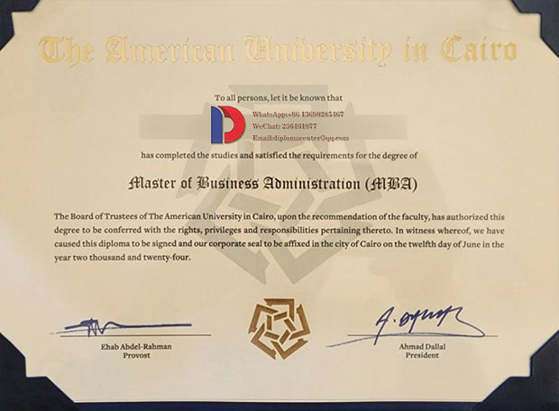 Sample case from the Business Administration School of Cairo American University in 2024