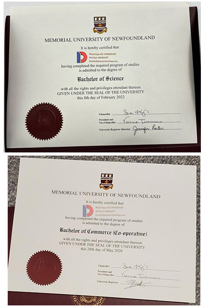 Samples case from Memorial University of Newfoundland