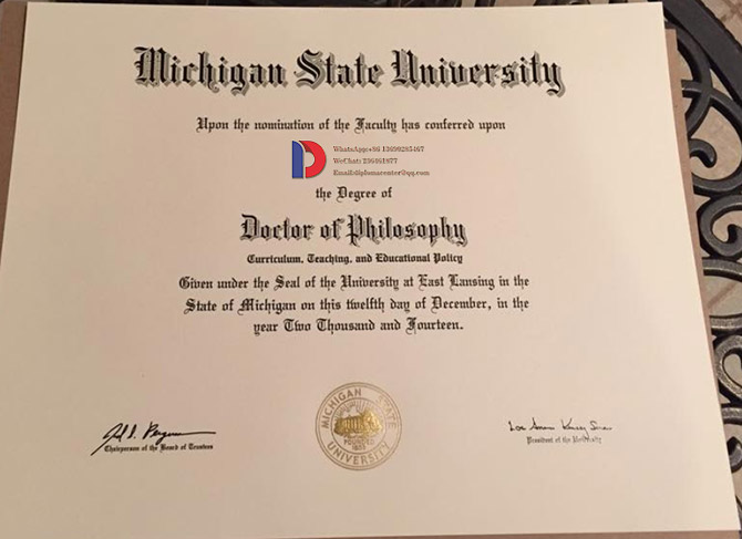 Sample case of Michigan State University degree