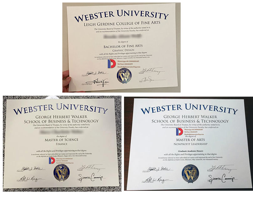 Webster University degree Sample