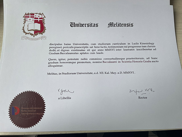 University of Malta degree Samples