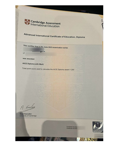 Where Can Buy Cambridge IGCSE Fake certificate