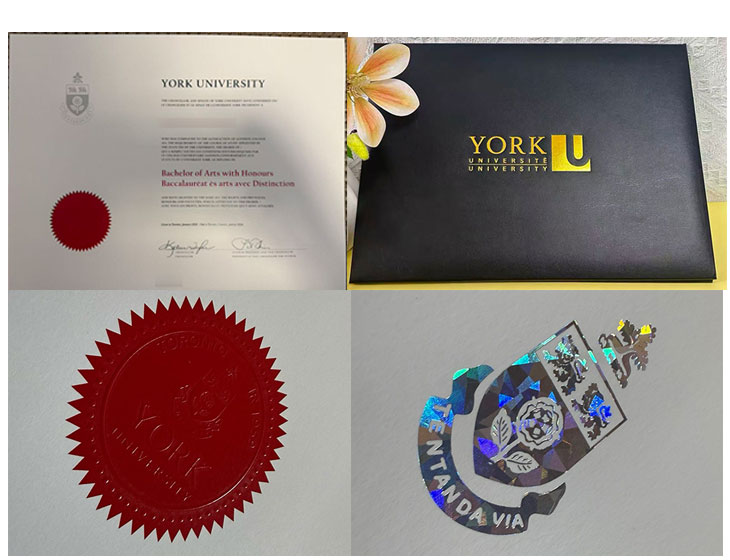 York University  degree sample