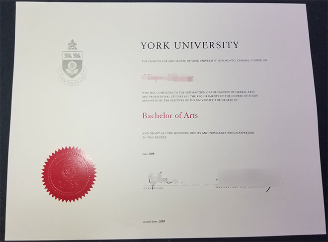 2018 Bachelor of Arts University of York