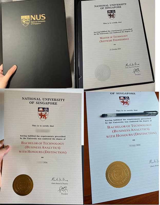 2026 NUS Degree Samples