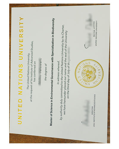fake UNU degree|buy fake United Nations University 