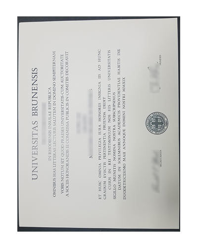 Universitas Brunensis diploma sample|buy Universitas Brunensis diploma