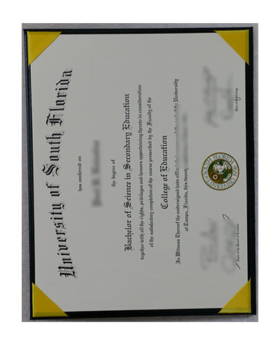 USF Fake Degree|Where to purchase USF masters fake diploma degree